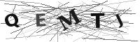Please refresh your browser to see this image.